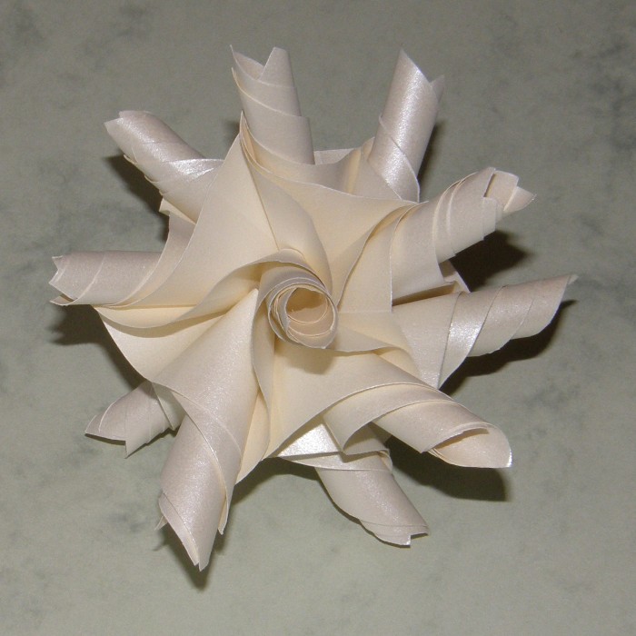 Elephant Ears - White  (K09064)